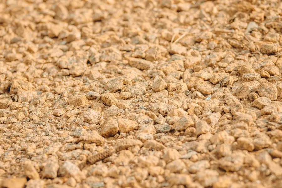 Close-up of resin bound aggregate showing the mixed stone colours and texture of the finished surface